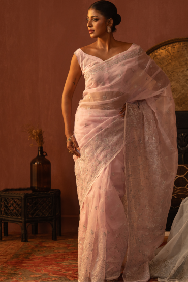 Dragonfly Embroidered Half Silk Sari